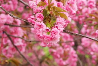 无锡惠山区线下个人借款平台一站式服务，轻松解决资金难题