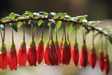 无锡惠山区零用贷短借：轻松解决临时资金需求