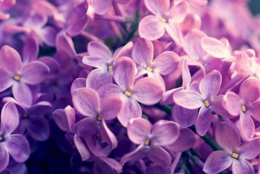 无锡惠山区企业急用钱贷款攻略：快速融资解燃眉之急